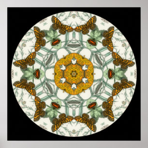 Schöne Schmetterlingsflügel Mandala Poster