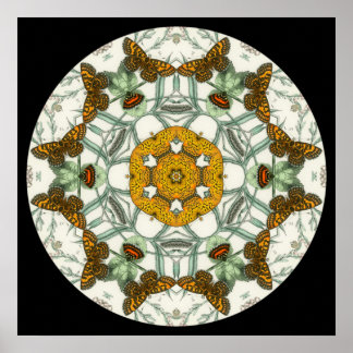Schöne Schmetterlingsflügel Mandala Poster