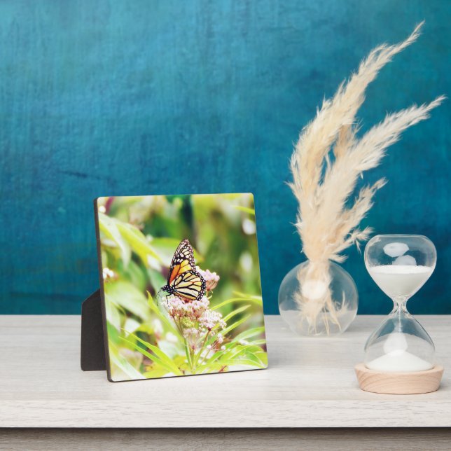 Schöne Schmetterlingskunst  Fotoplatte (InSitu)