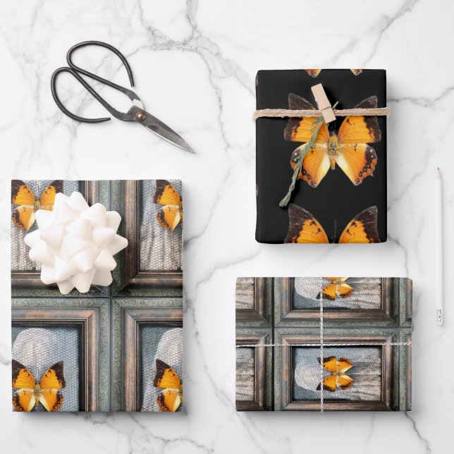 Schöne schwarz-Borded Charaxes Butterfly Geschenkpapier Set (Vorderseite)