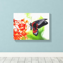 Schöne Schwarz-Rot-Schmetterling-Insekten Natur Leinwanddruck