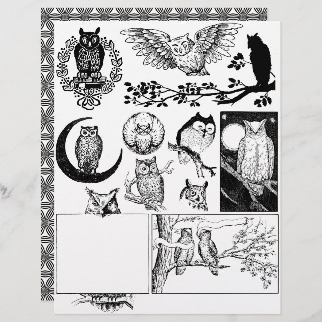 Schöne Schwarz-Weiß-Linien Kunst, Dichtung und Mus (Vorne/Hinten)