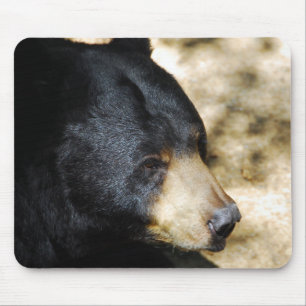 Schöne Schwarzbär-Mauspad Mousepad
