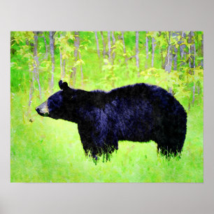 Schöne Schwarze Bär Wildlife Watercolor Gemälde Poster