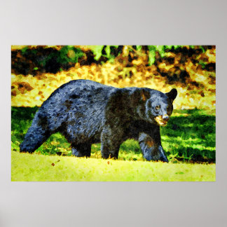 Schöne Schwarze Bär Wildlife Watercolor Gemälde Poster