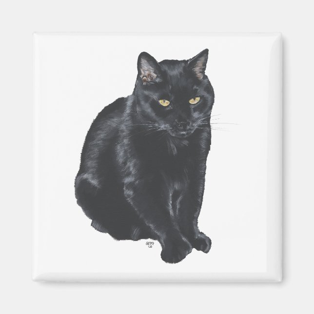 Schöne schwarze Katze Magnet (Vorne)