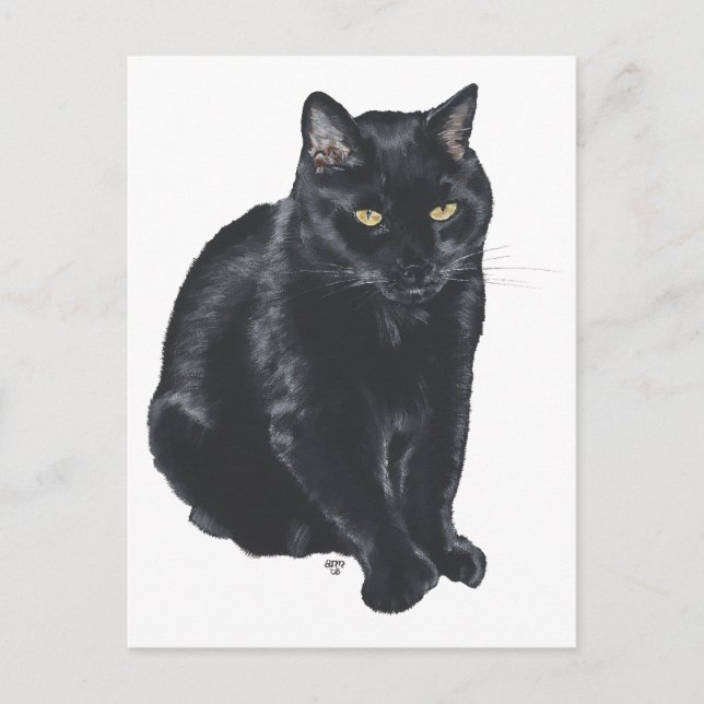 Schöne schwarze Katze Postkarte (Vorderseite)