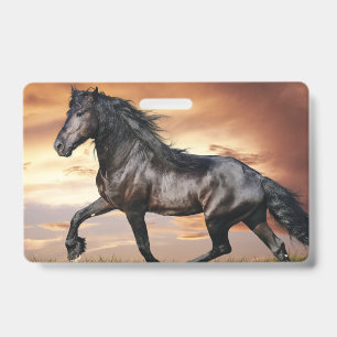 Schöne schwarze Pferd Ausweis