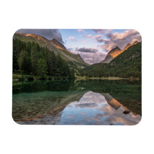 Schöne Schweizer-Alpen des Palpuogna See- Magnet