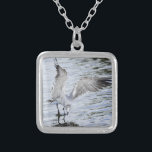Schöne Seagull-Flügel Necklace Versilberte Kette<br><div class="desc">Fotografie eines schönen Seagull Essen auf dem Wasser,  flatternd seine Flügel,  auf einer Halskette angezeigt. — Die Fotografie ist urheberrechtlich geschützt durch die Fotografin Christina Spiegeland. — Copyright 2013.</div>