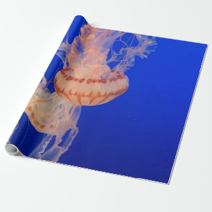 Schöne Seascape Geschenkpapier