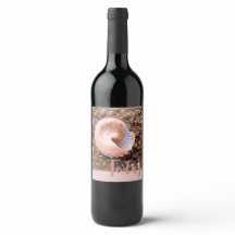 Schöne Seashell in Pale Pink Heute feiern