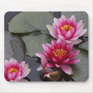 Schöne See-Blumen auf mause Auflage Mousepad