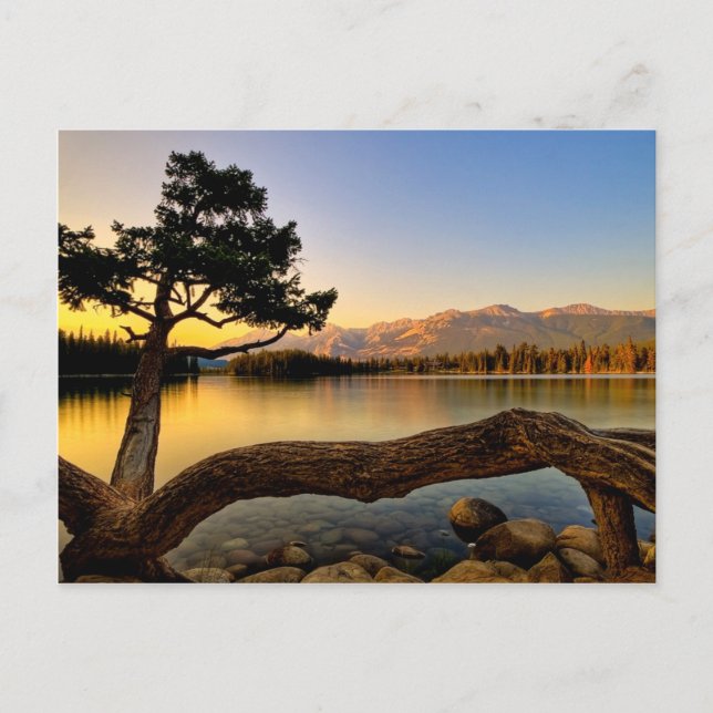 Schöne Seepostkarte Postkarte (Vorderseite)