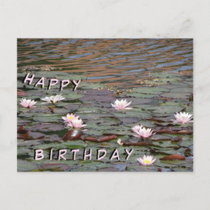 Schöne Seerosen Alles Gute zum Geburtstag Postkart Postkarte