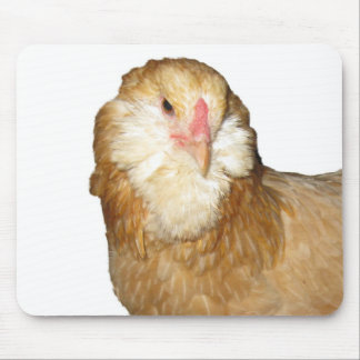 Schöne seltene Wheaten Ameraucana Henne-Hühner Mousepad