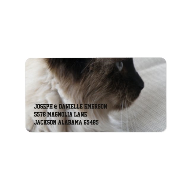 Schöne Siamese Kitty Adressaufkleber (Vorne)