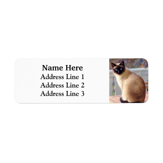 Schöne Siamesen Katzenblauer Augen Rücksendeadress (Vorne)