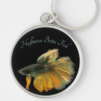 Schöne siamesische Kämpfe Fisch Betta Halfmoon