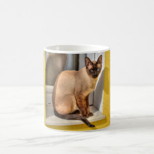 Schöne siamesische Katze Kaffeetasse