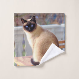 Schöne siamesische Katze mit blauen Augen Waschlappen