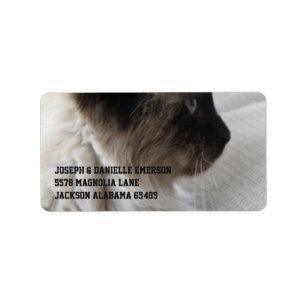 Schöne siamesische Miezekatze Adressaufkleber