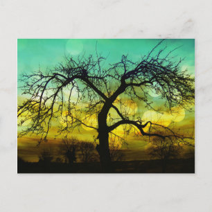 Schöne Silhouette am Sonnenuntergang Ombre Aqua Postkarte