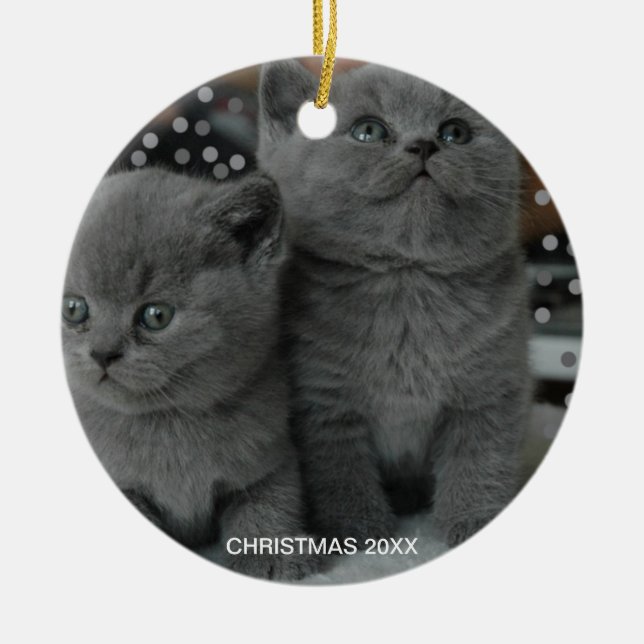 Schöne Silver Gray Kitty Cats & bearbeitbarer Text Keramik Ornament (Vorne)