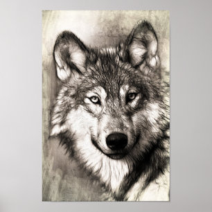 Schöne Skizze von Wolfs Gefechtsgestüt Poster
