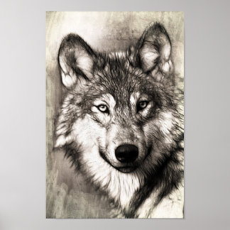 Schöne Skizze von Wolfs Gefechtsgestüt Poster