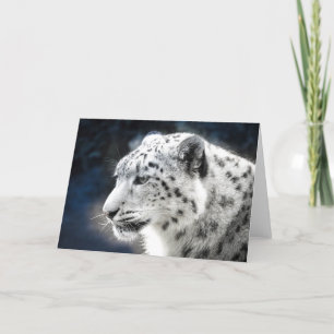 Schöne Snow Leopard-Grußkarte Karte