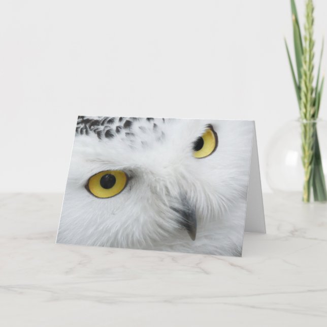 Schöne Snowy Owl Eyes Happy Birthday Card Karte (Vorderseite)
