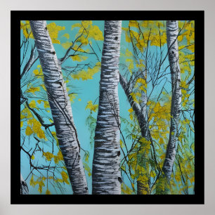 Schöne Sommer Birke Poster