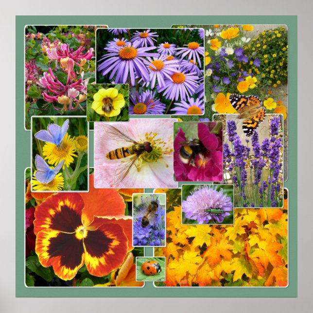 Schöne Sommer-Blume und Insekten-Collage Poster (Vorne)