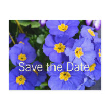 schöne sommerblaue Blume Save the Date