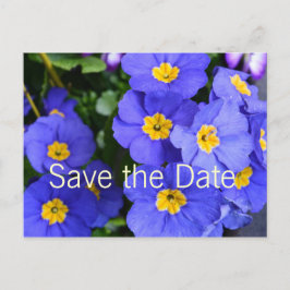 schöne sommerblaue Blume Save the Date Ankündigungspostkarte