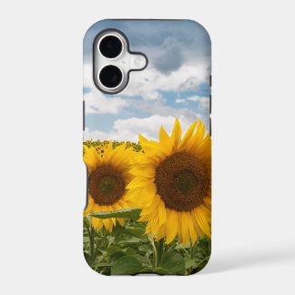 schöne Sommersonnenblumen