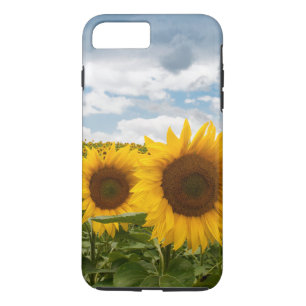 schöne Sommersonnenblumen Case-Mate iPhone Hülle
