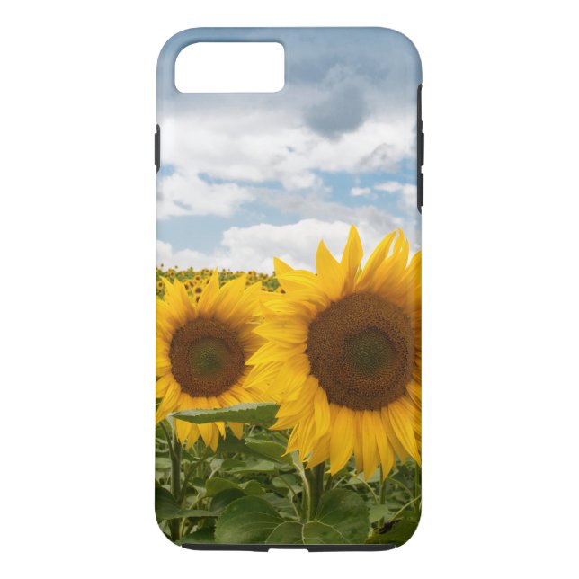 schöne Sommersonnenblumen Case-Mate iPhone Hülle (Rückseite)