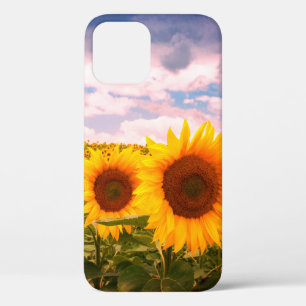 Schöne Sommersonnenblumen  Case-Mate iPhone Hülle