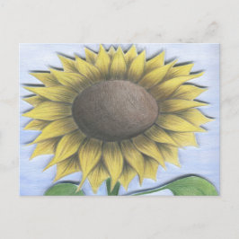 Schöne Sonnenblume Zeichnend Postkarte