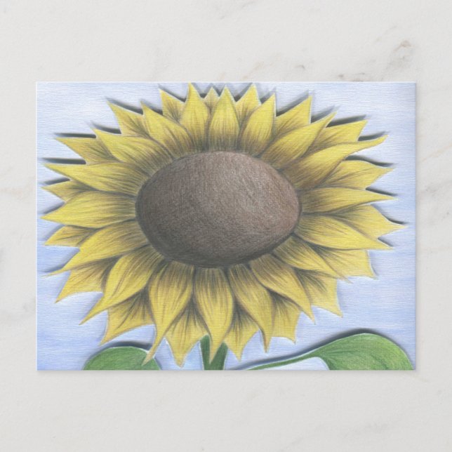 Schöne Sonnenblume Zeichnend Postkarte (Vorderseite)
