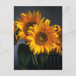 Schöne Sonnenblumen in Vase Postcard Postkarte