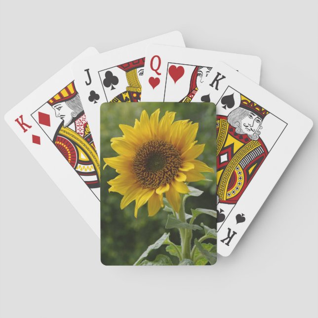 Schöne Sonnenblumenspielkarten Spielkarten (Rückseite)