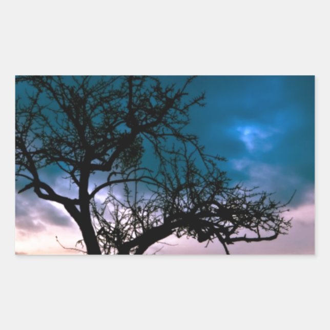 Schöne Sonnenuntergang Landschaftliche Landschaft  Rechteckiger Aufkleber (Vorderseite)