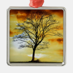 Schöne Sonnenuntergang Landschaftliche Landschaft  Silbernes Ornament