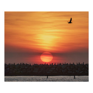 Schöne Sonnenuntergangsfarben - Marina Del Rey, CA Fotodruck