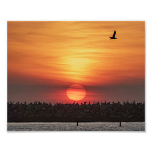 Schöne Sonnenuntergangsfarben - Marina Del Rey, CA Fotodruck