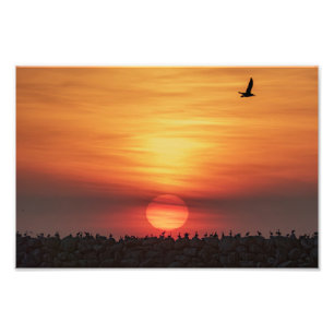 Schöne Sonnenuntergangsfarben - Marina Del Rey, CA Fotodruck