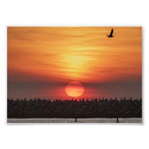Schöne Sonnenuntergangsfarben - Marina Del Rey, CA Fotodruck